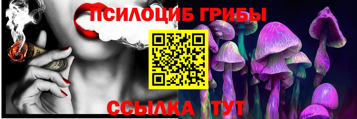 Кстово  Галлюциногенные грибы MAGIC MUSHROOMS  Вход с VPN 